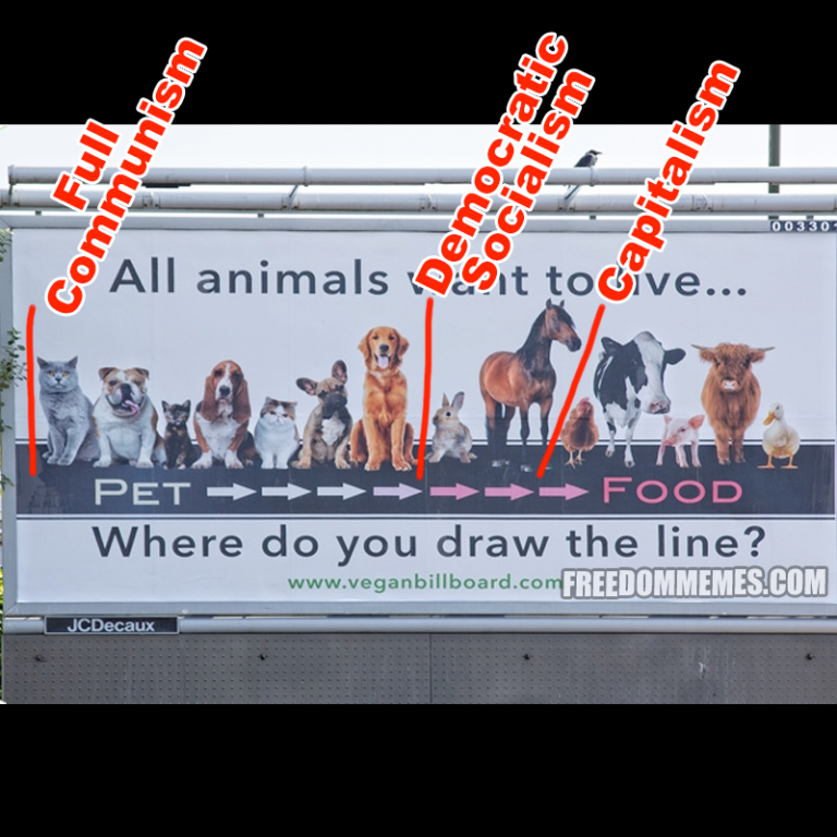 Animal Billboard Where Do You Draw The Line / 19+ Animal Drawings